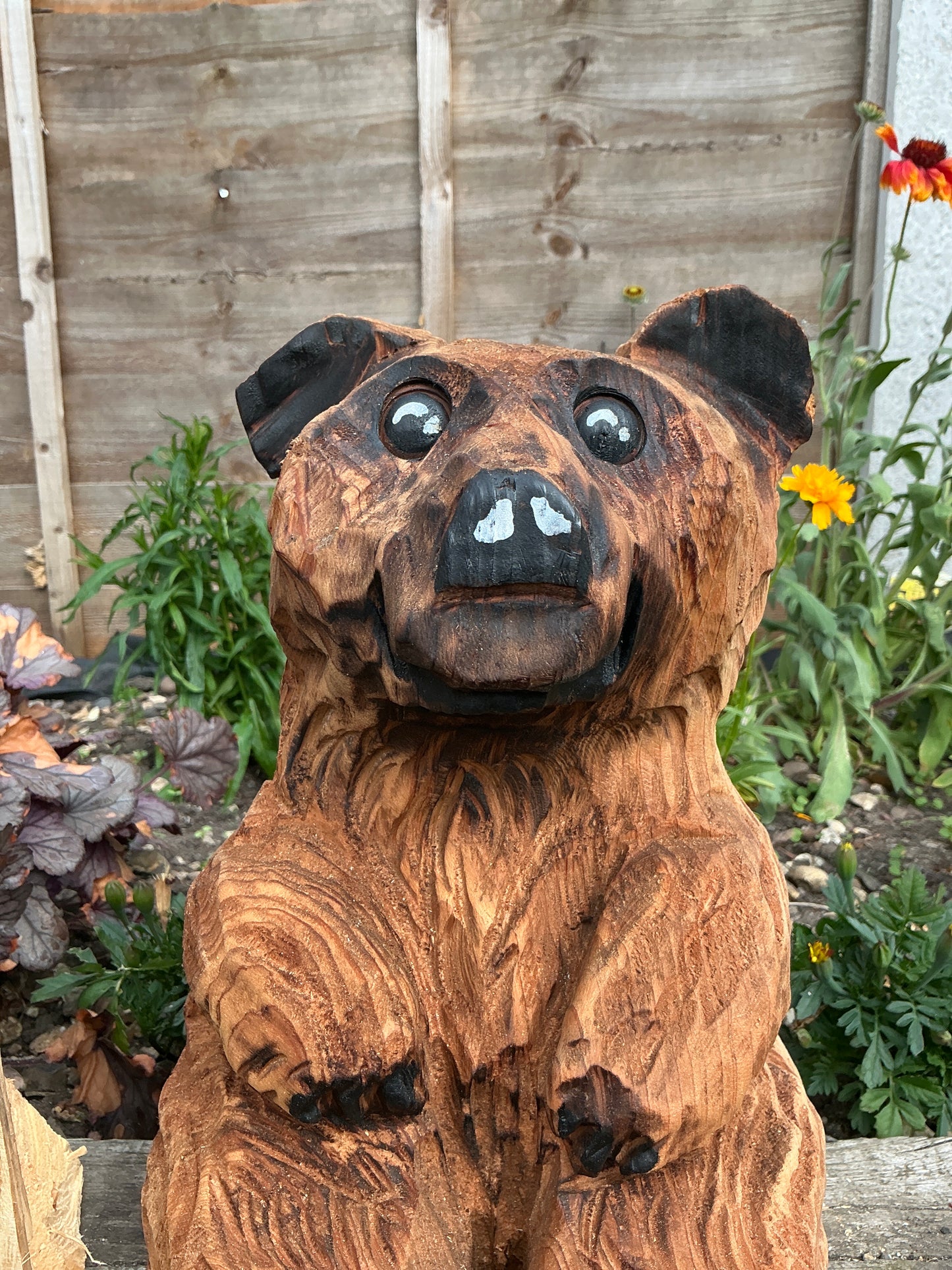 9 - Sitting bear