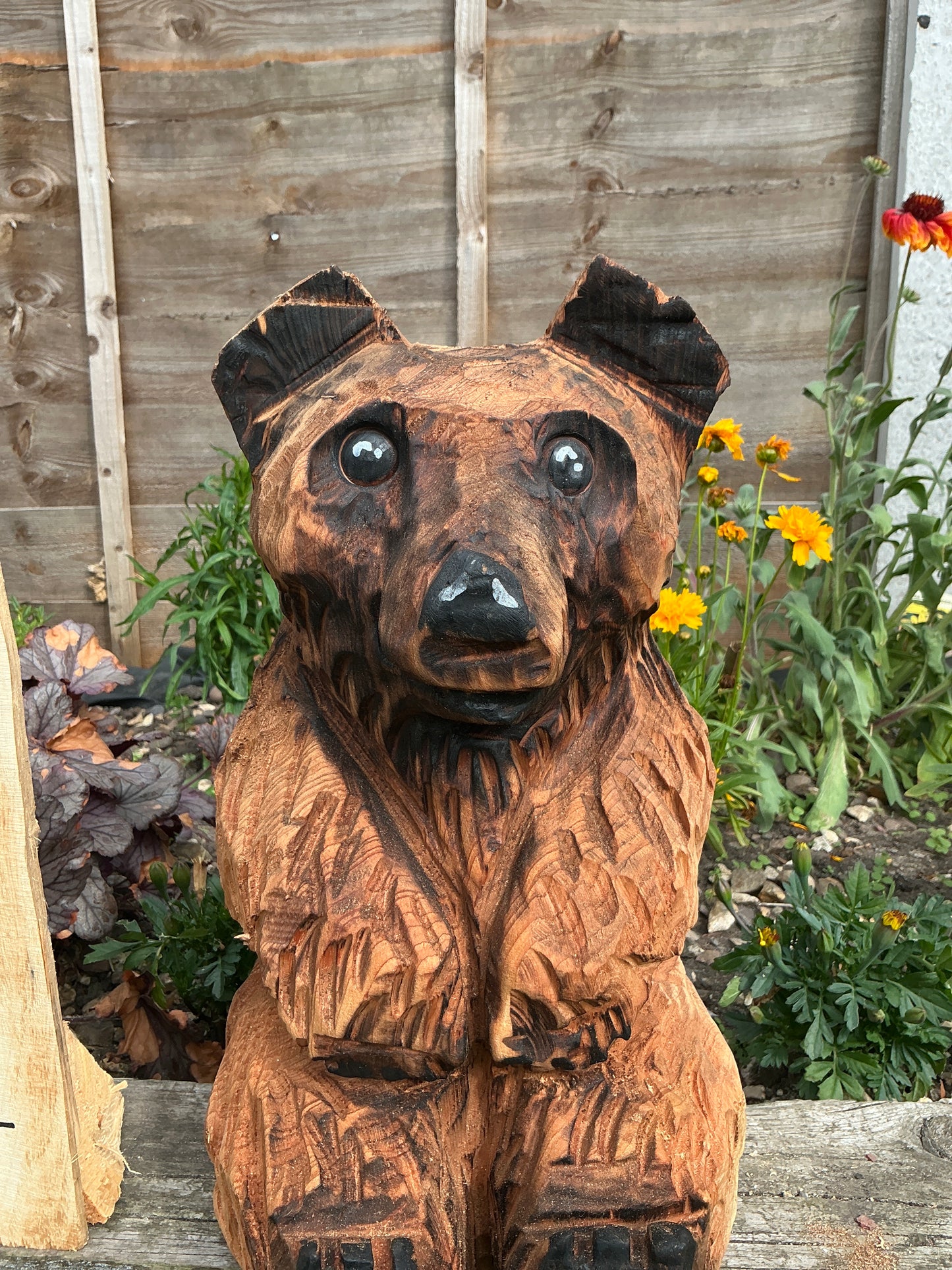 14 - Sitting bear