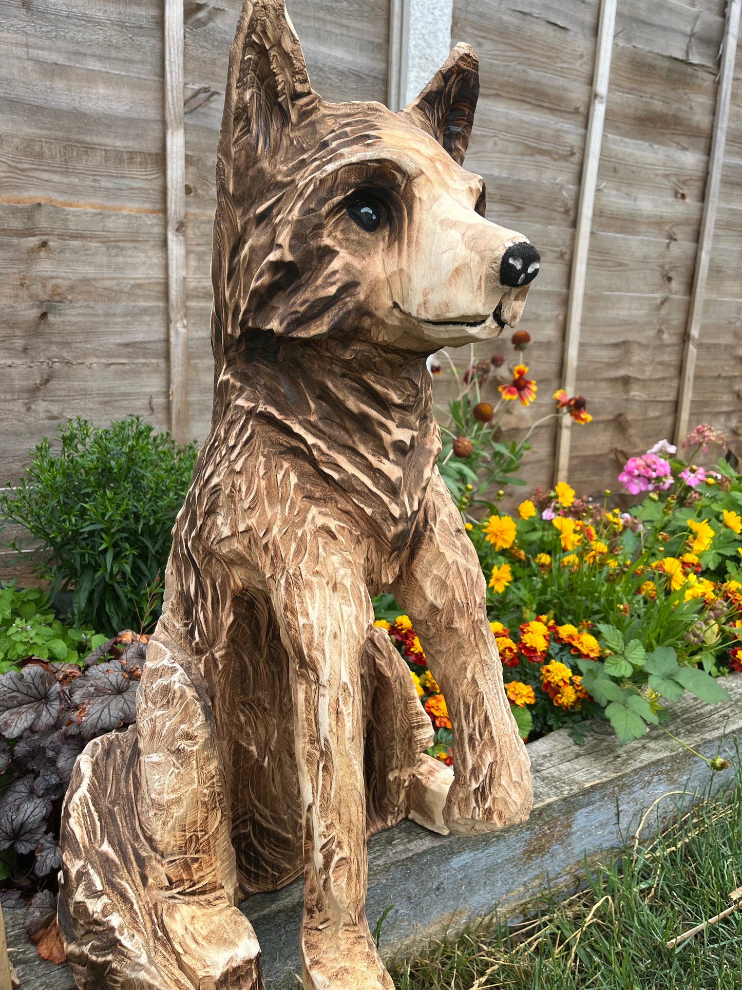 Standing fox