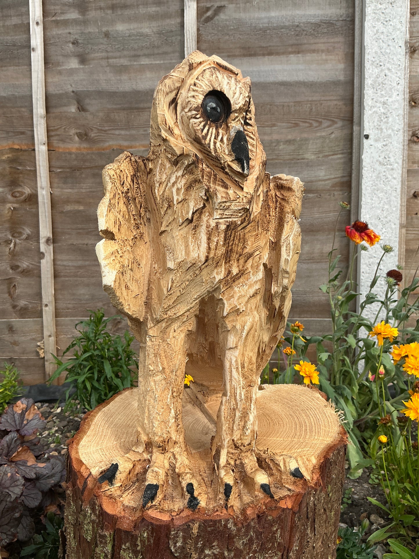 3 - Standing owl