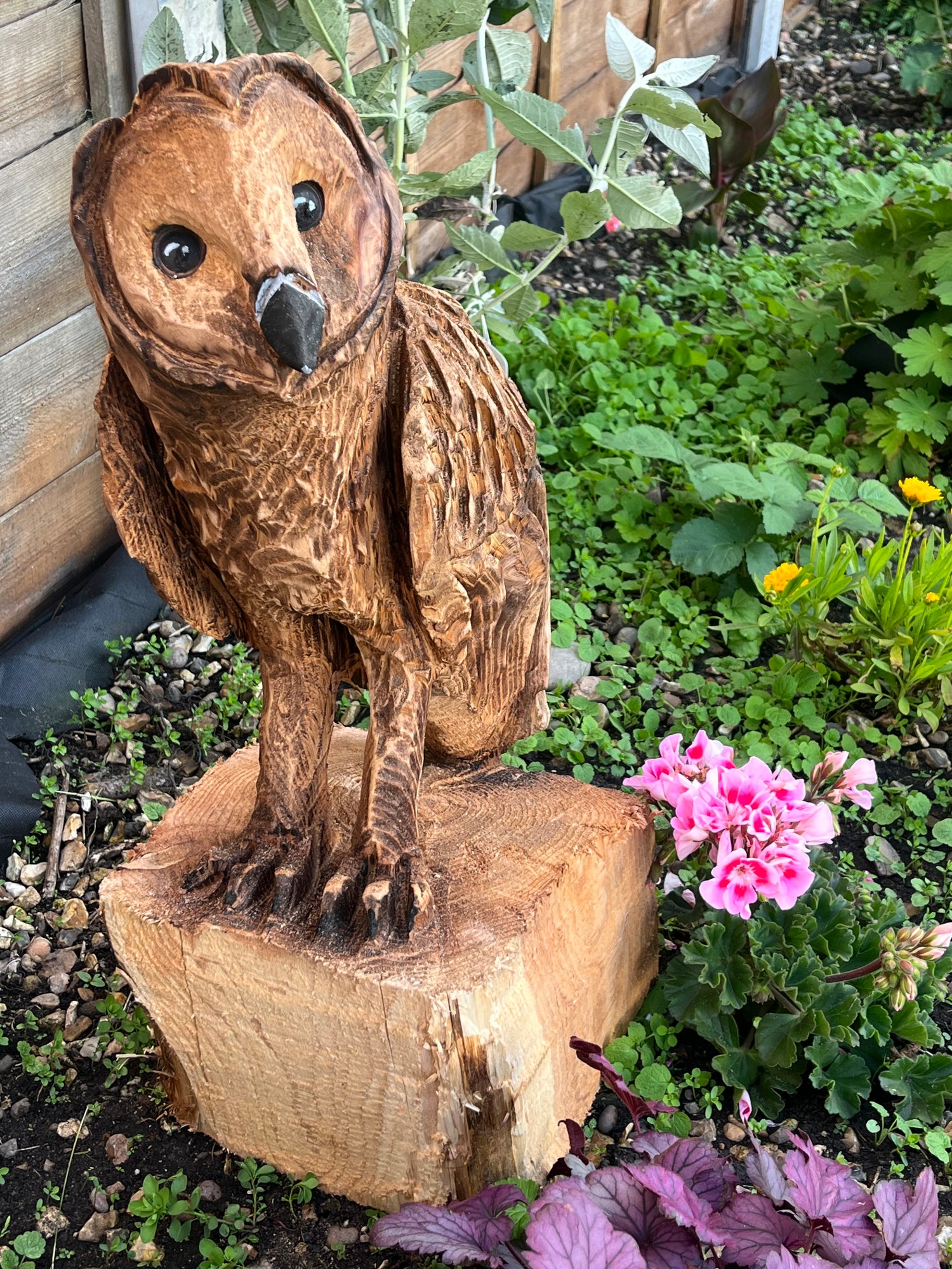 Owls