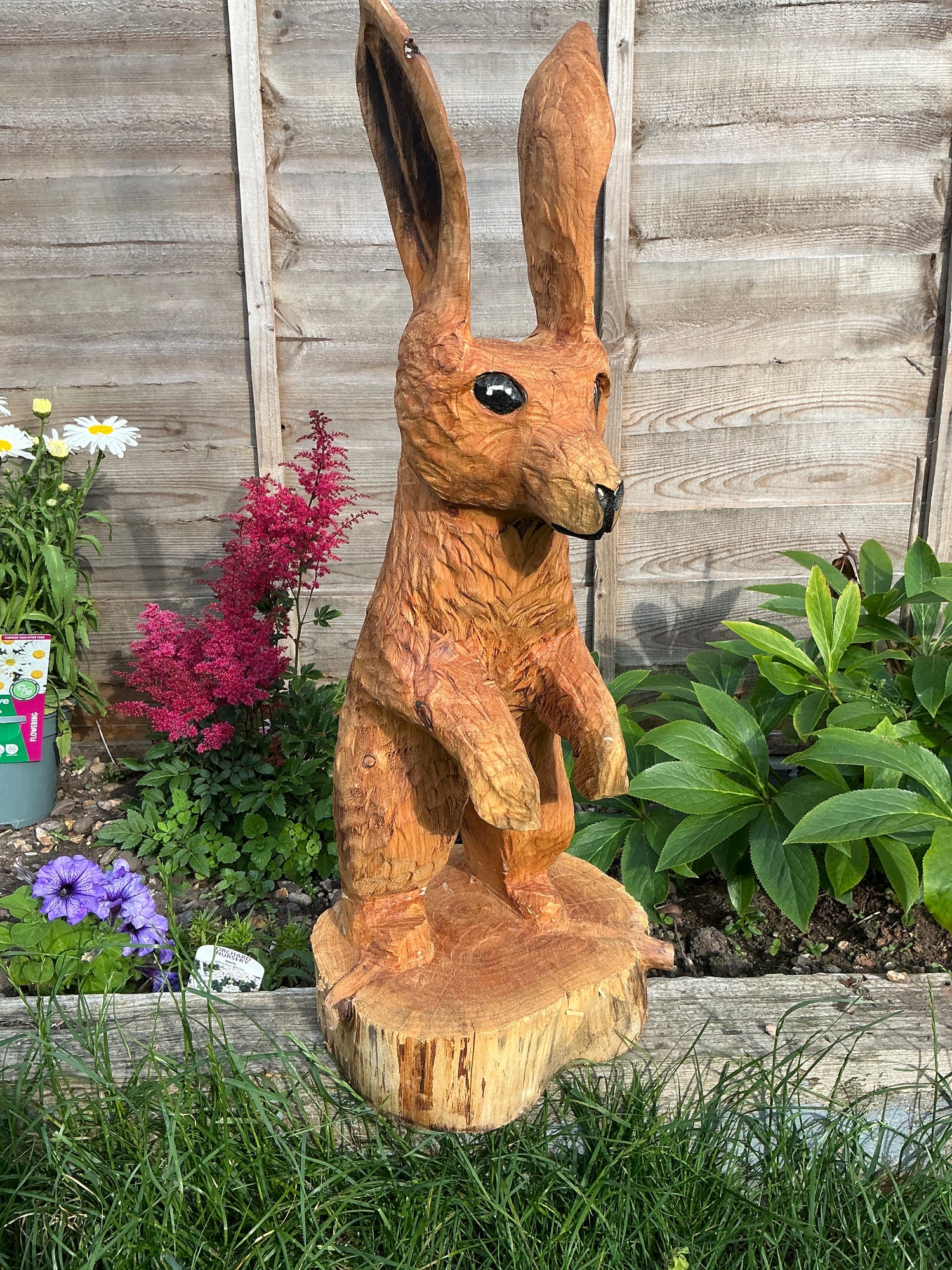 Rabbits/hares