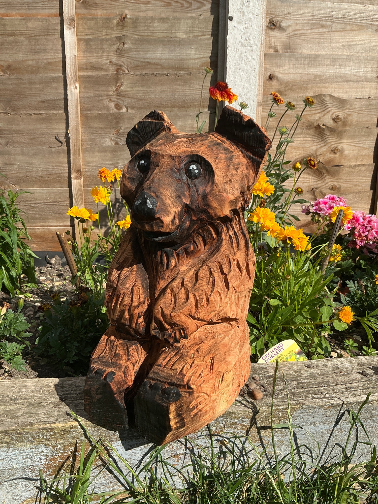 Bears