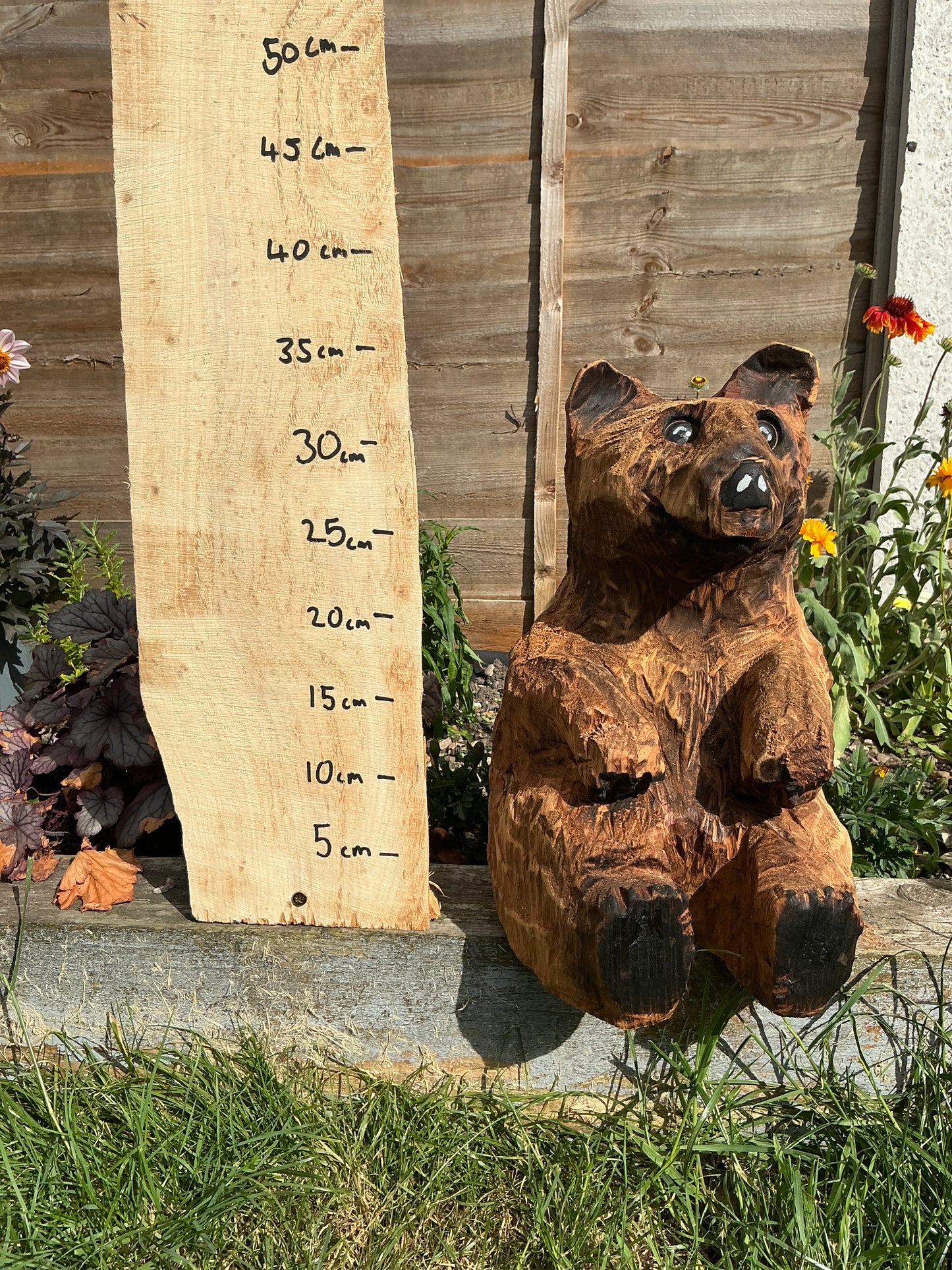 13 - Sitting bear
