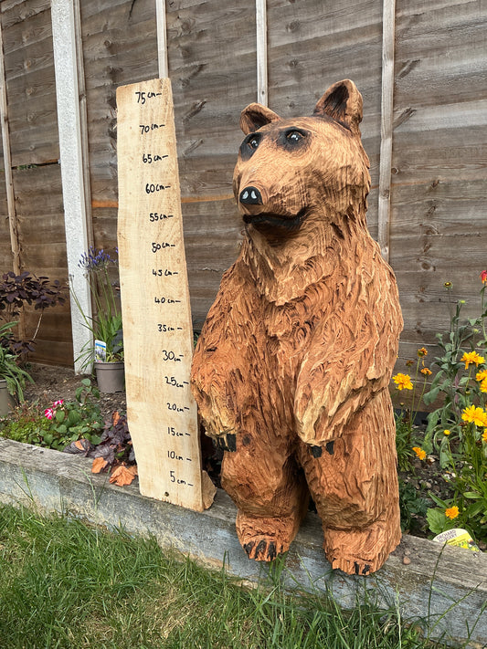 15 - Standing Bear