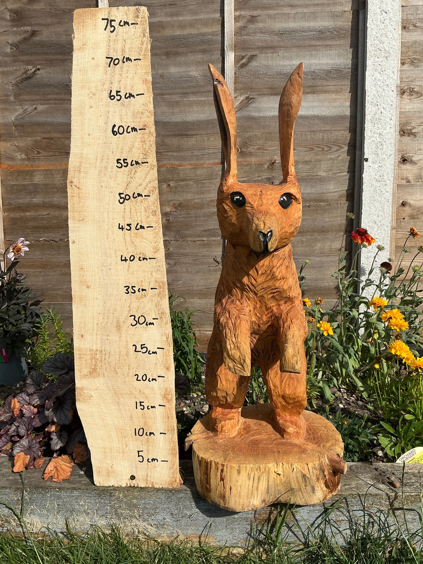 2 - Standing hare