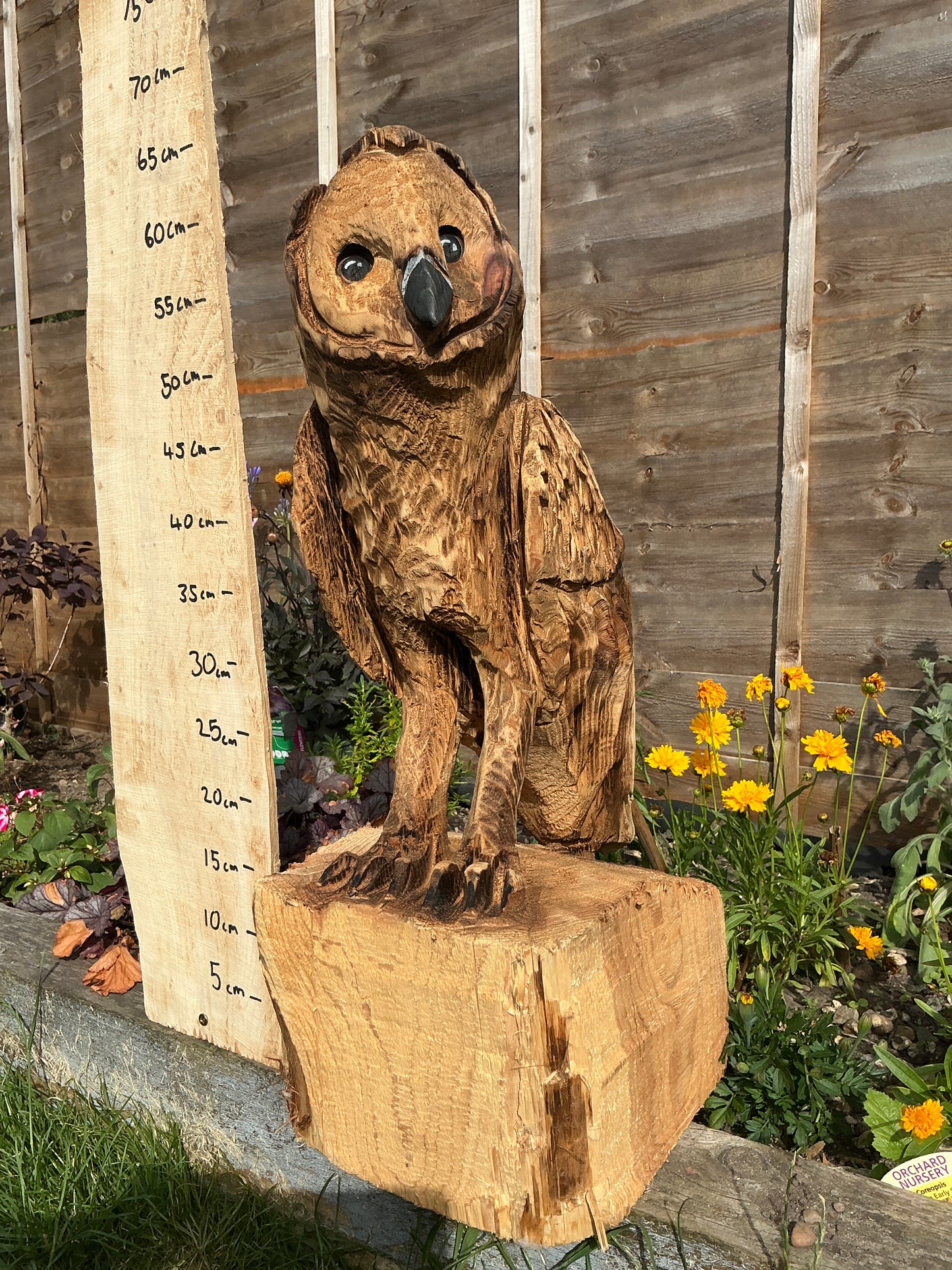 1 - Medium standing owl