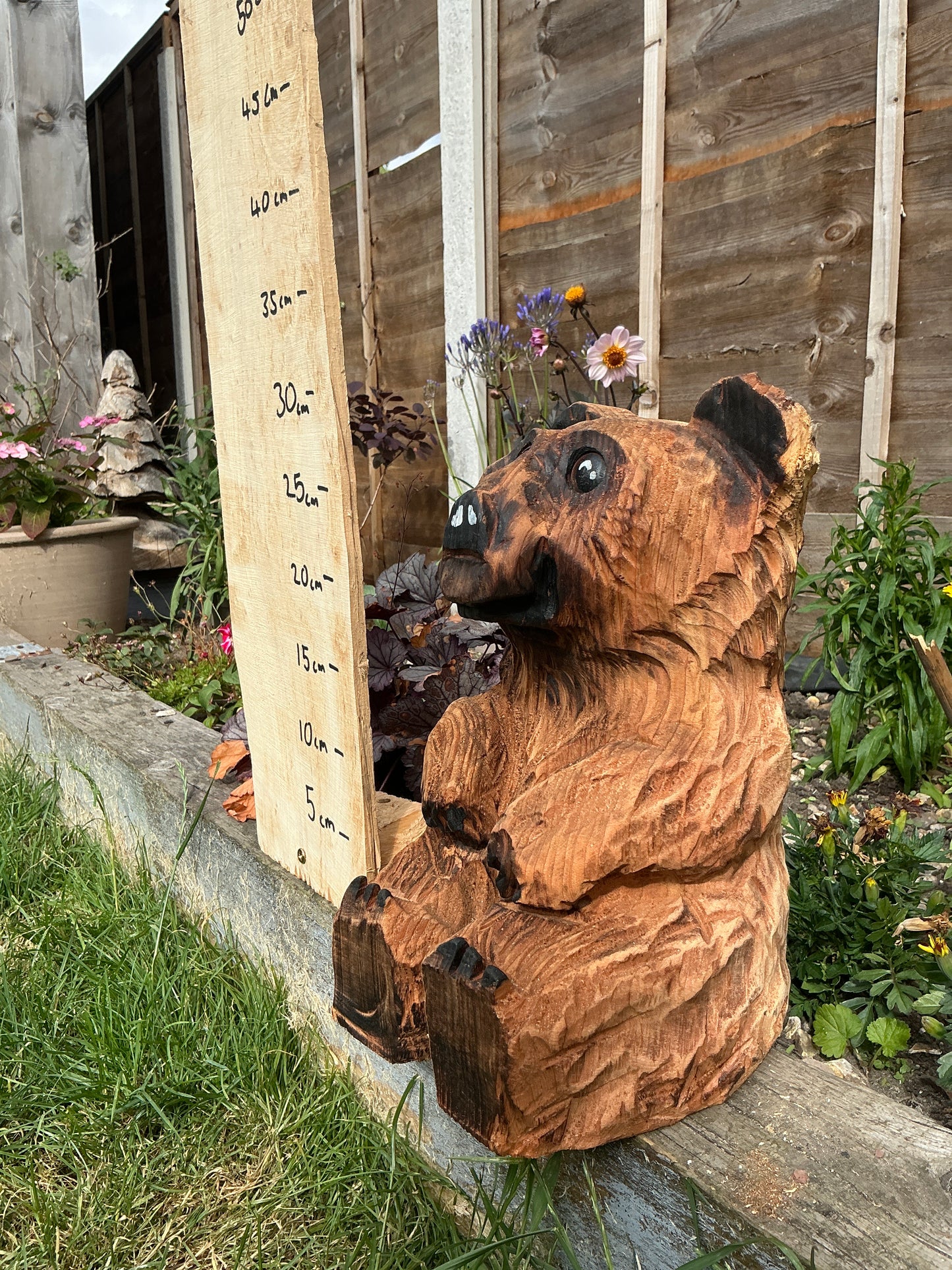 9 - Sitting bear
