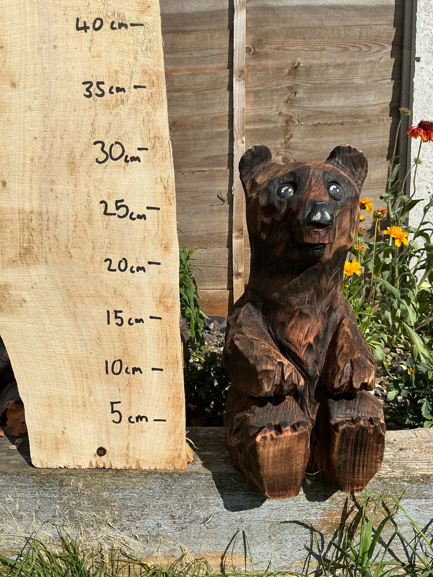 5 - Sitting bear