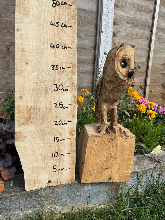 11 - Standing owl