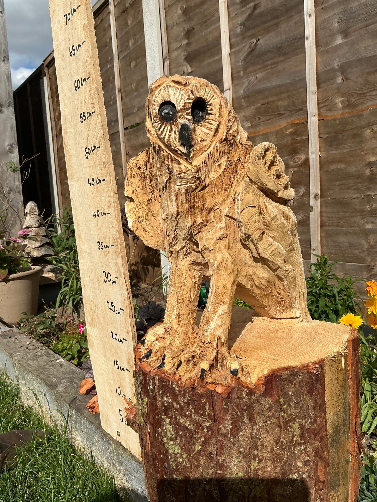 3 - Standing owl