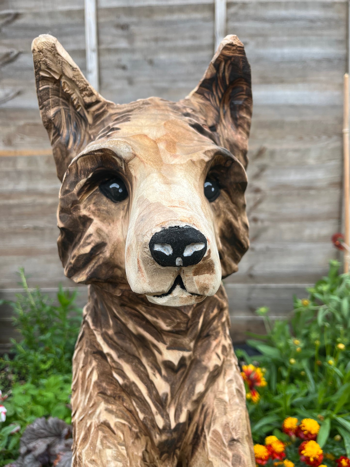 Standing fox