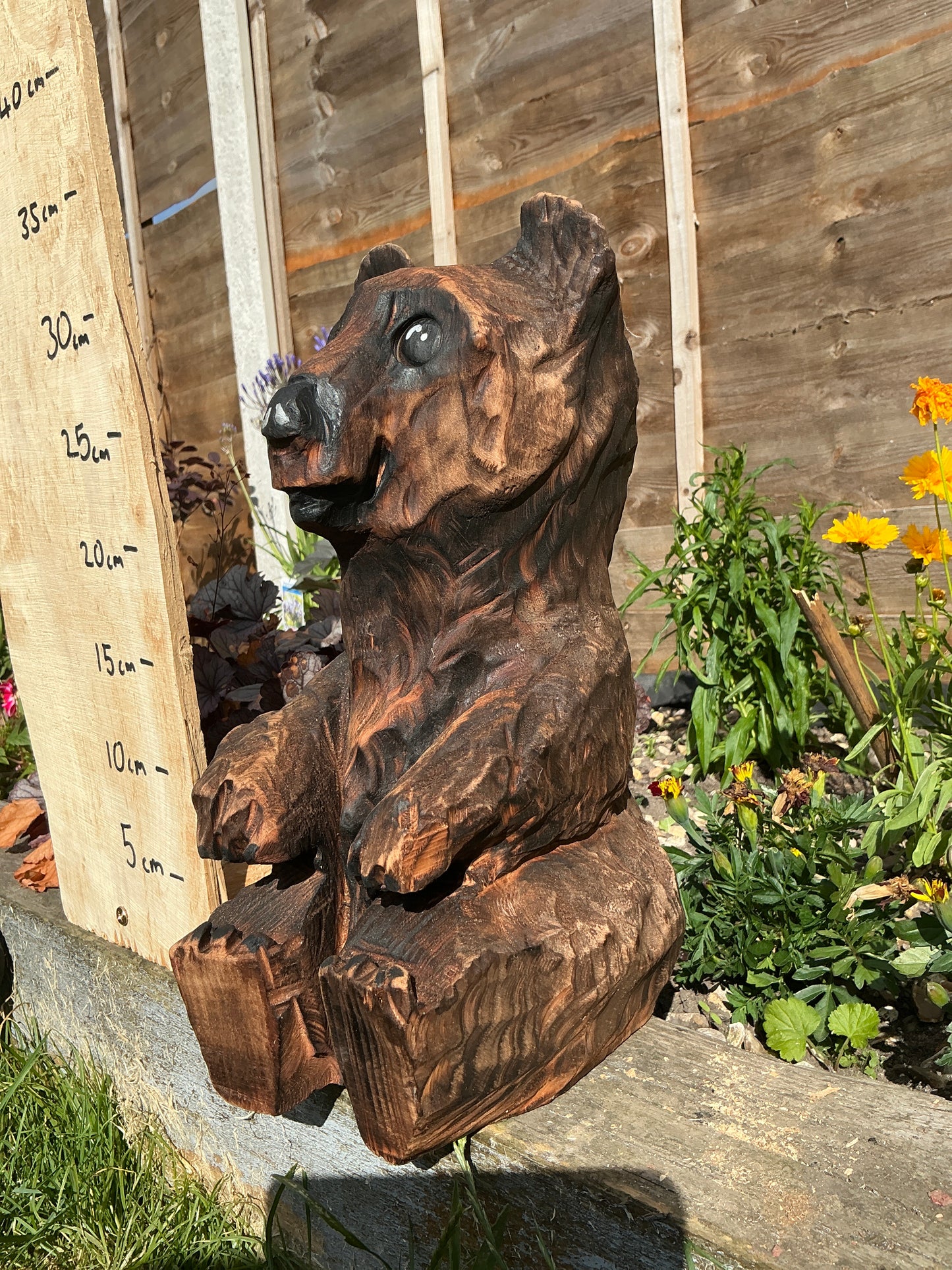 5 - Sitting bear