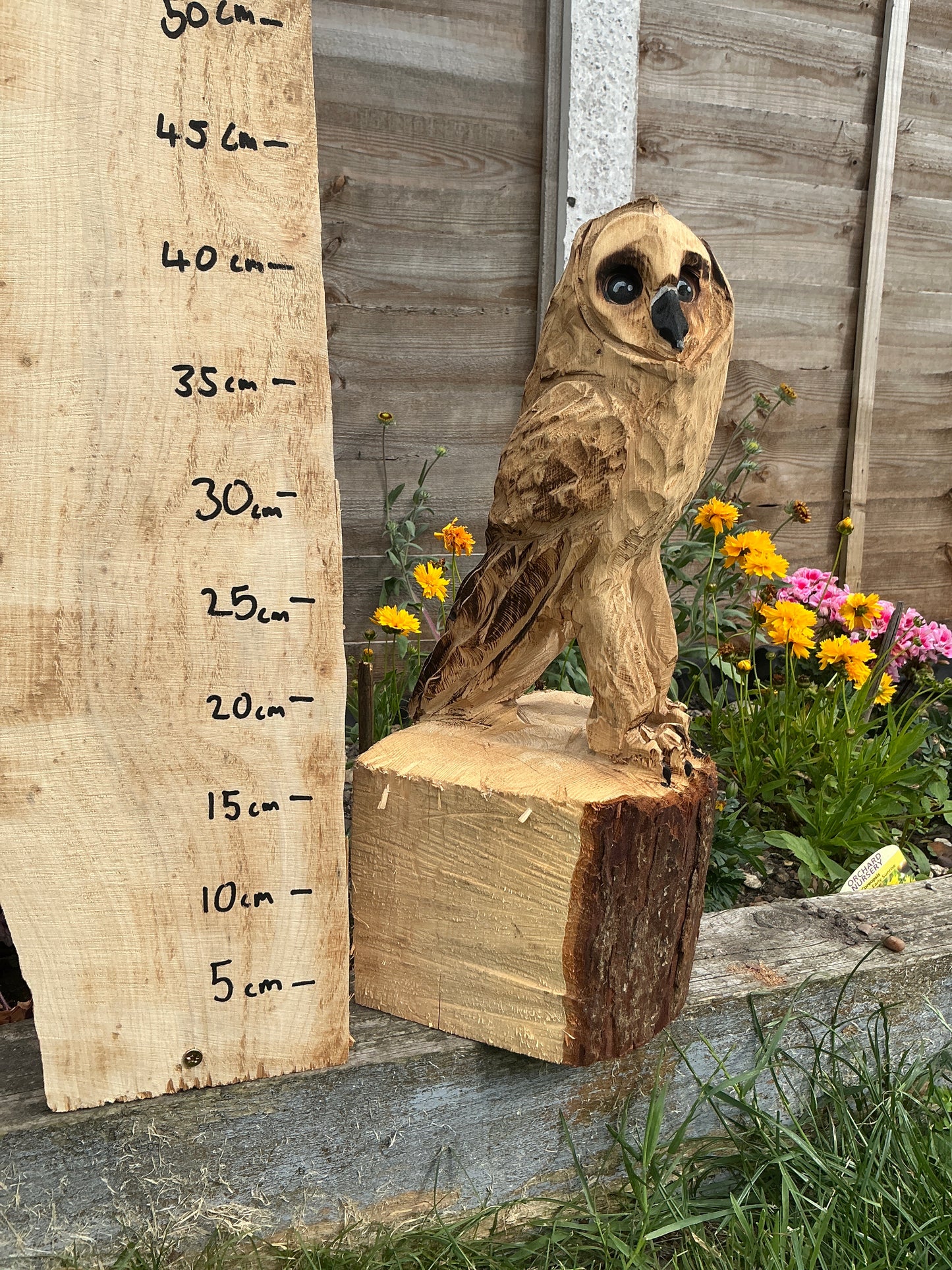 6 - Standing owl
