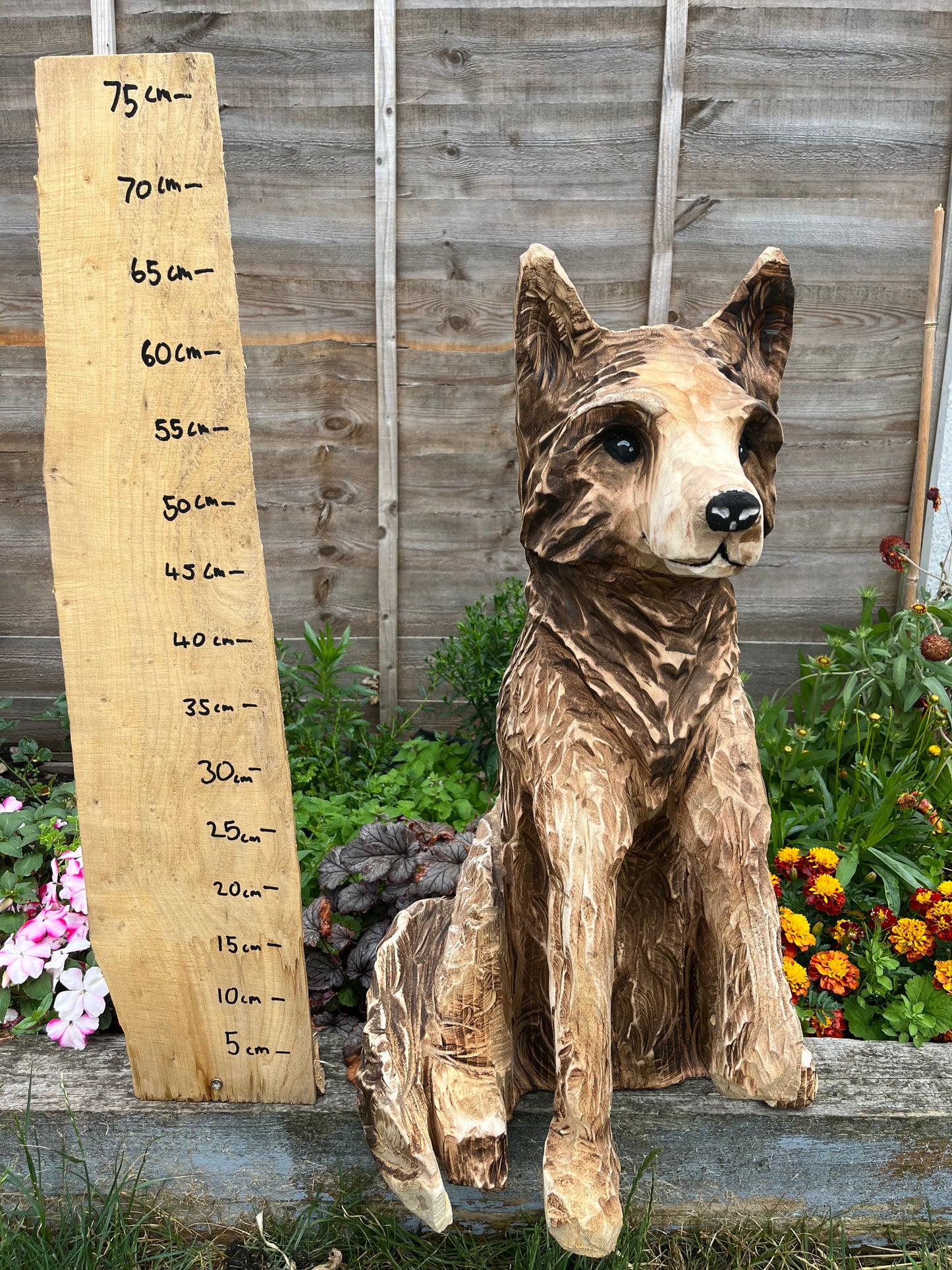 Standing fox