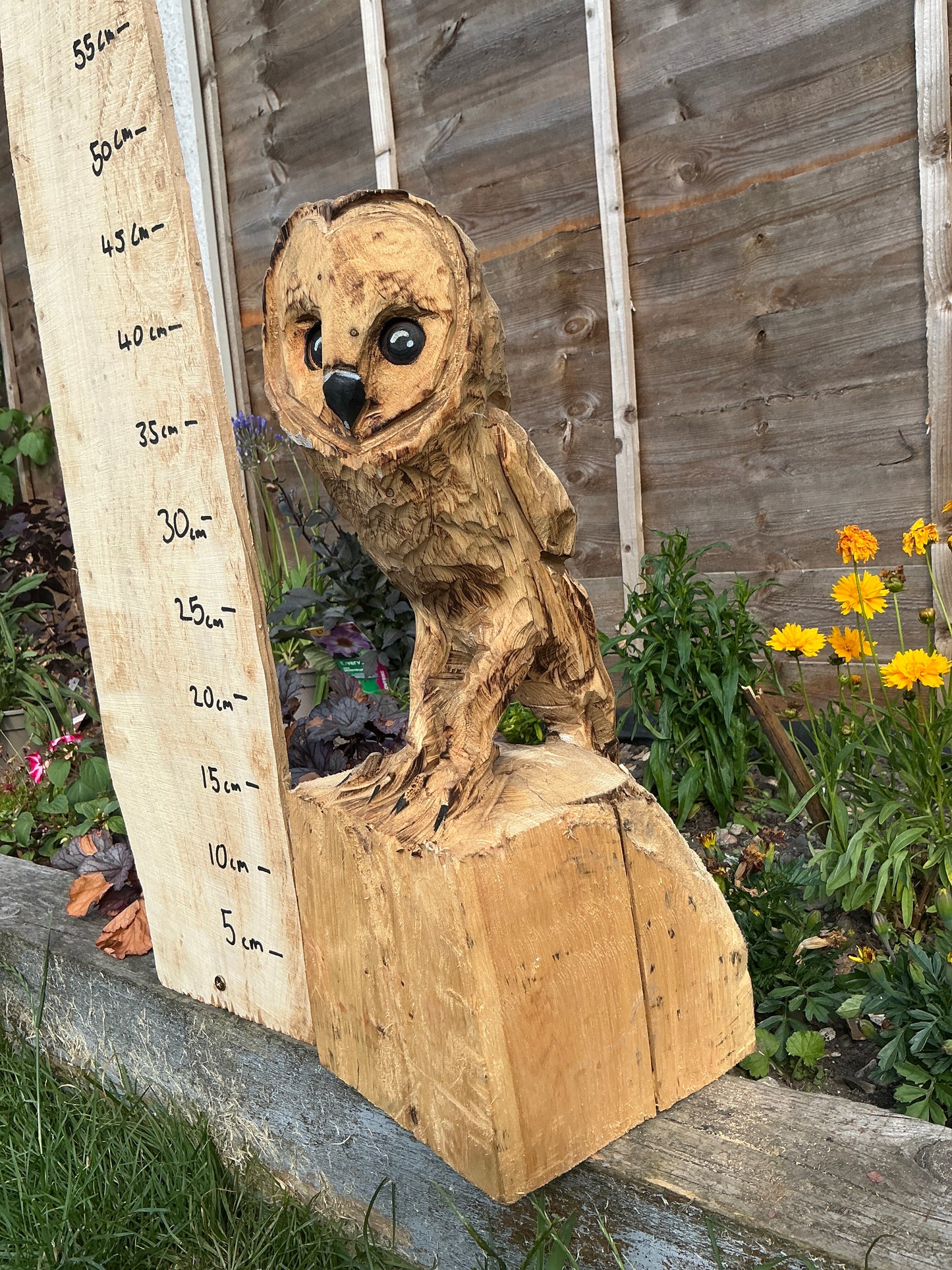 11 - Standing owl