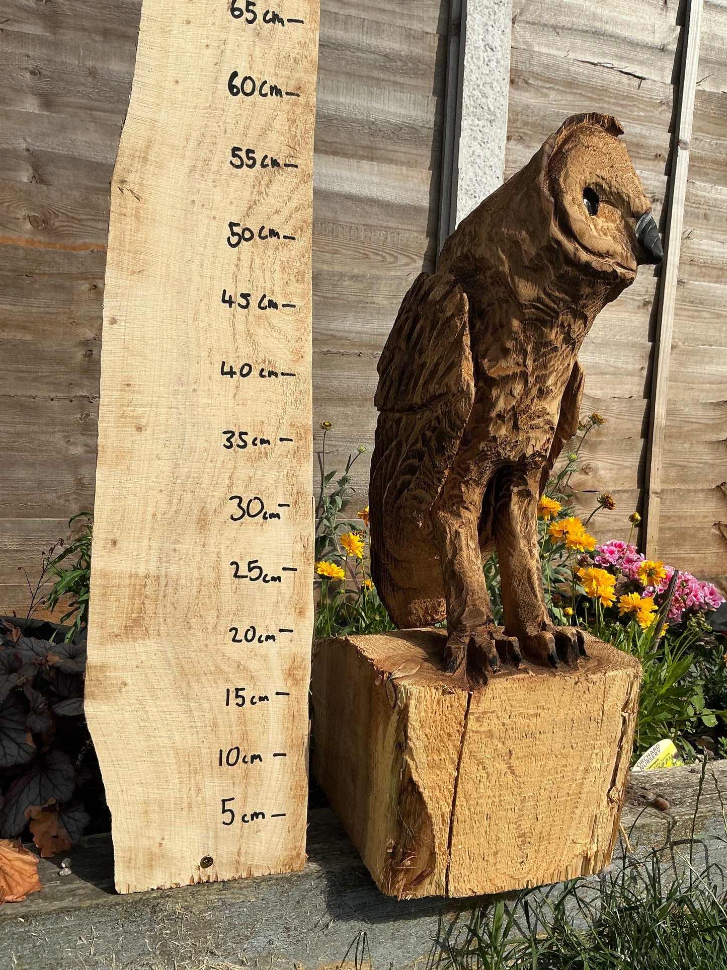 1 - Medium standing owl