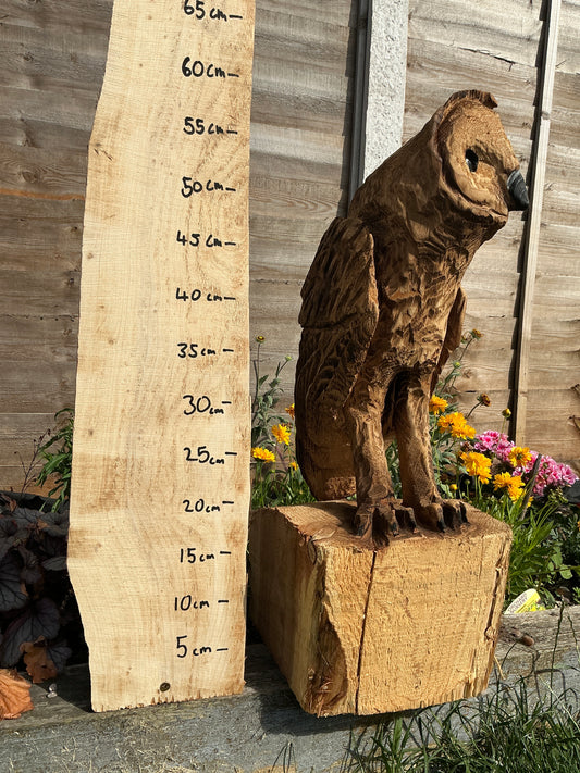 1 - Medium standing owl