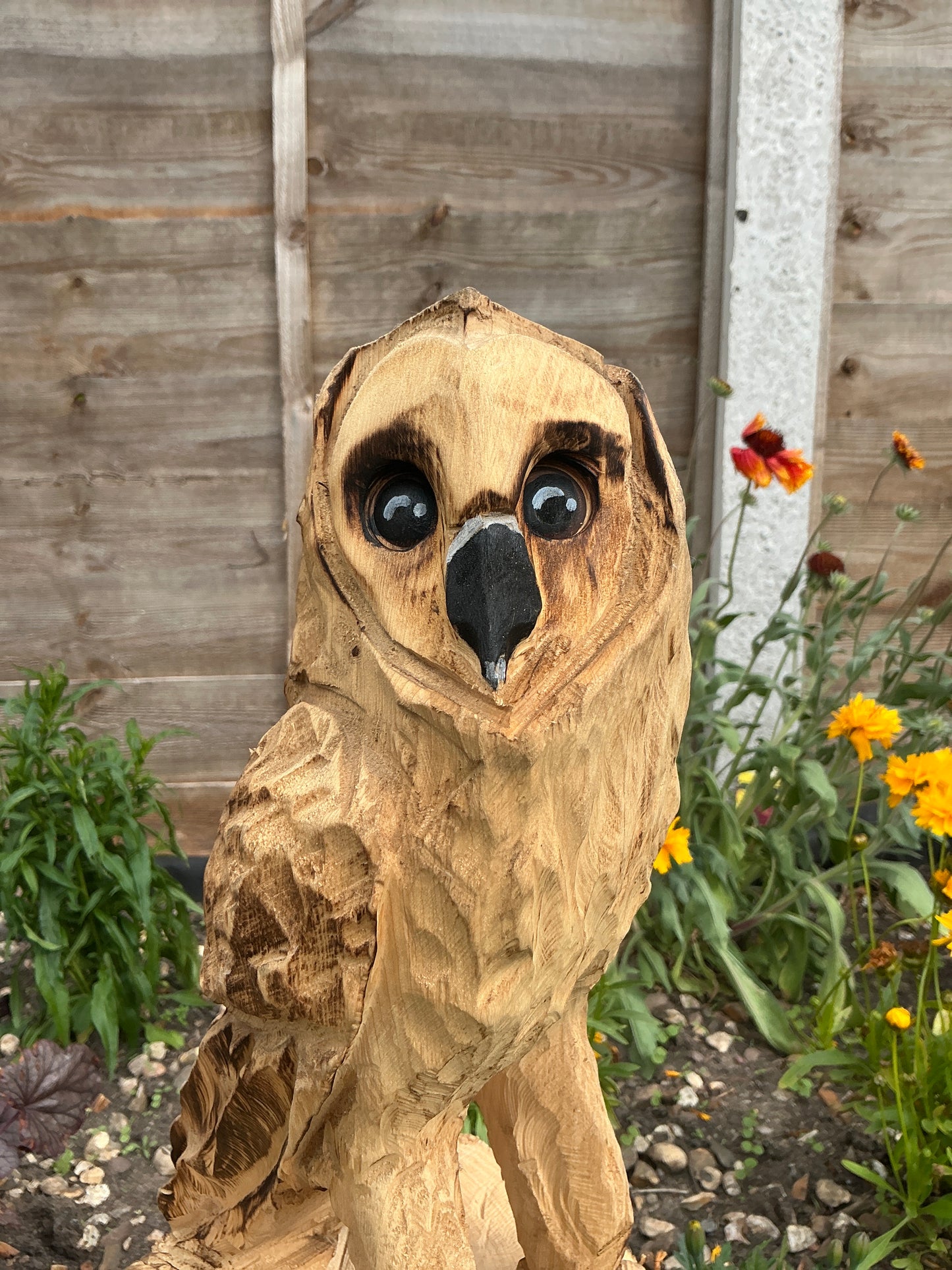 6 - Standing owl