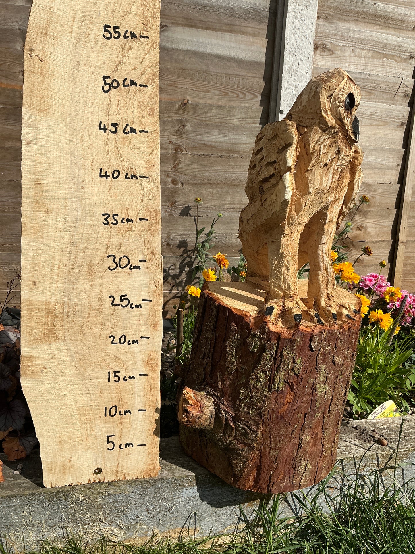3 - Standing owl