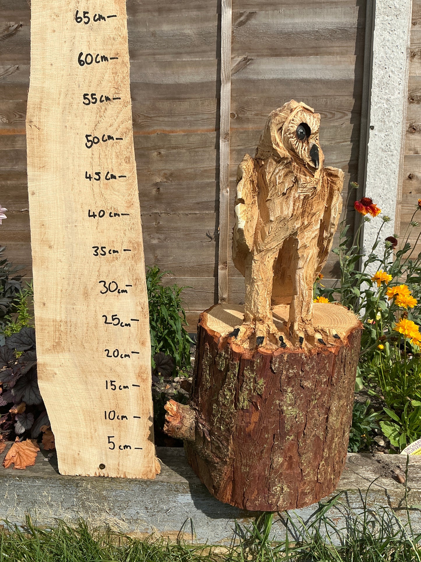 3 - Standing owl