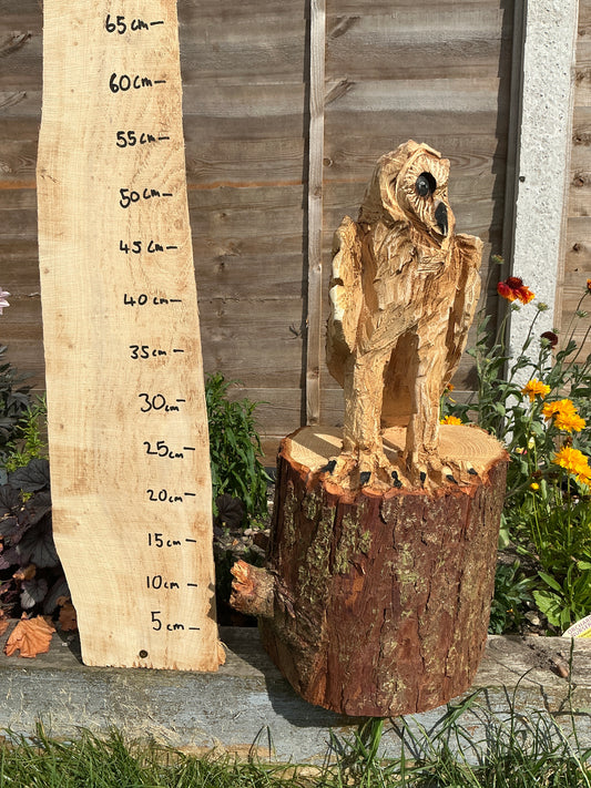 3 - Standing owl