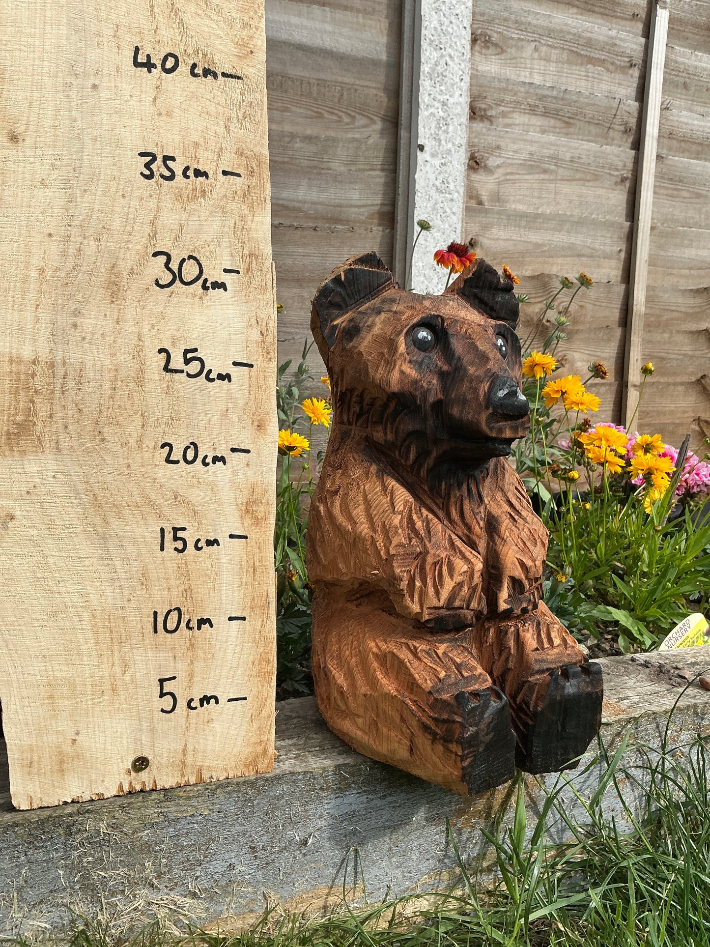 14 - Sitting bear
