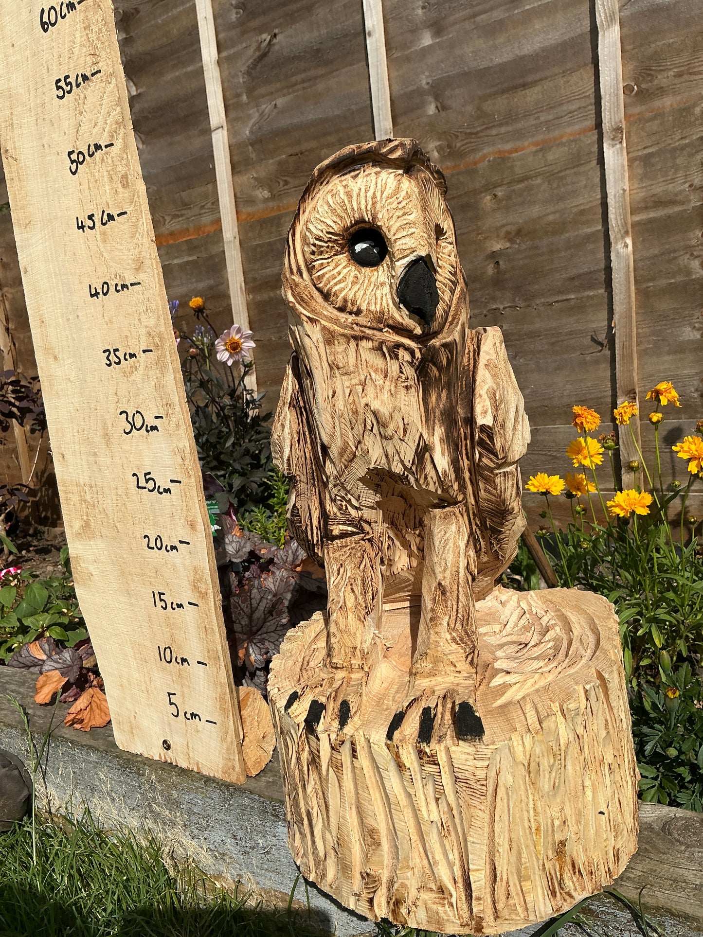 8 - Standing owl