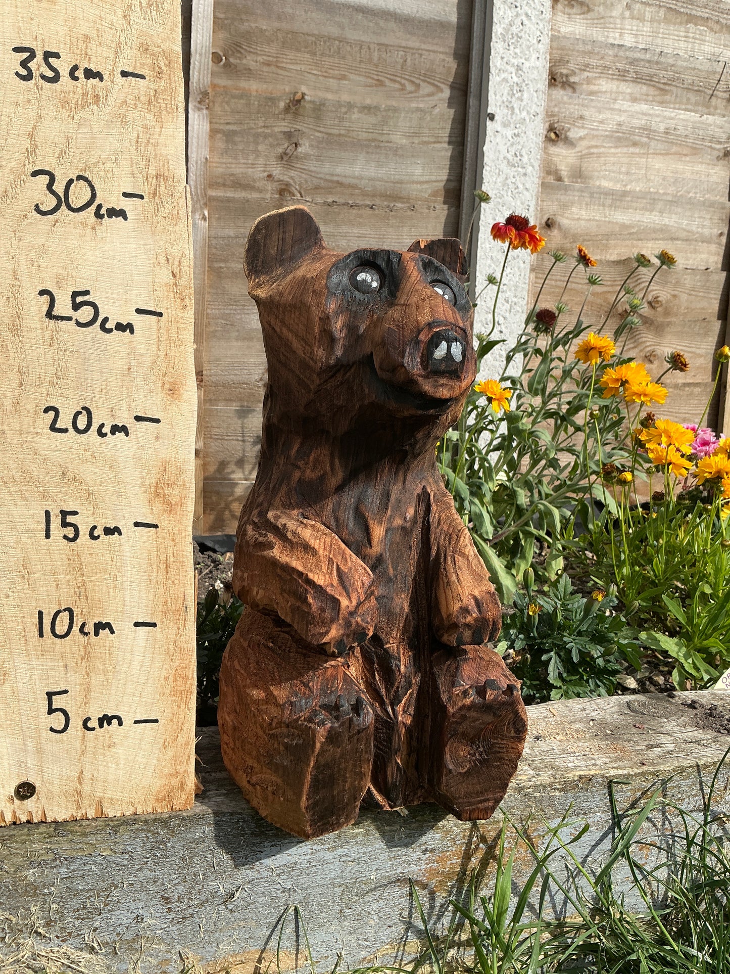 10 - Sitting bear
