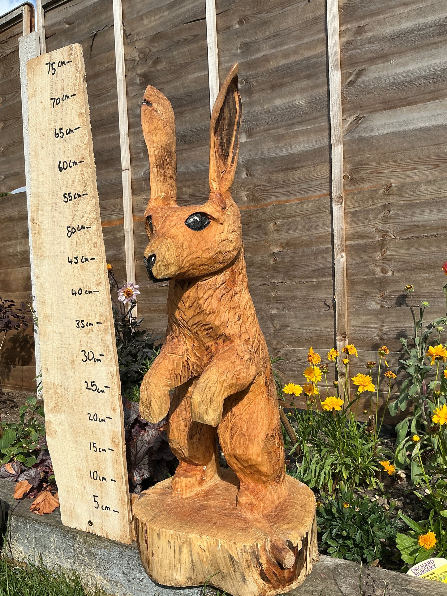 2 - Standing hare