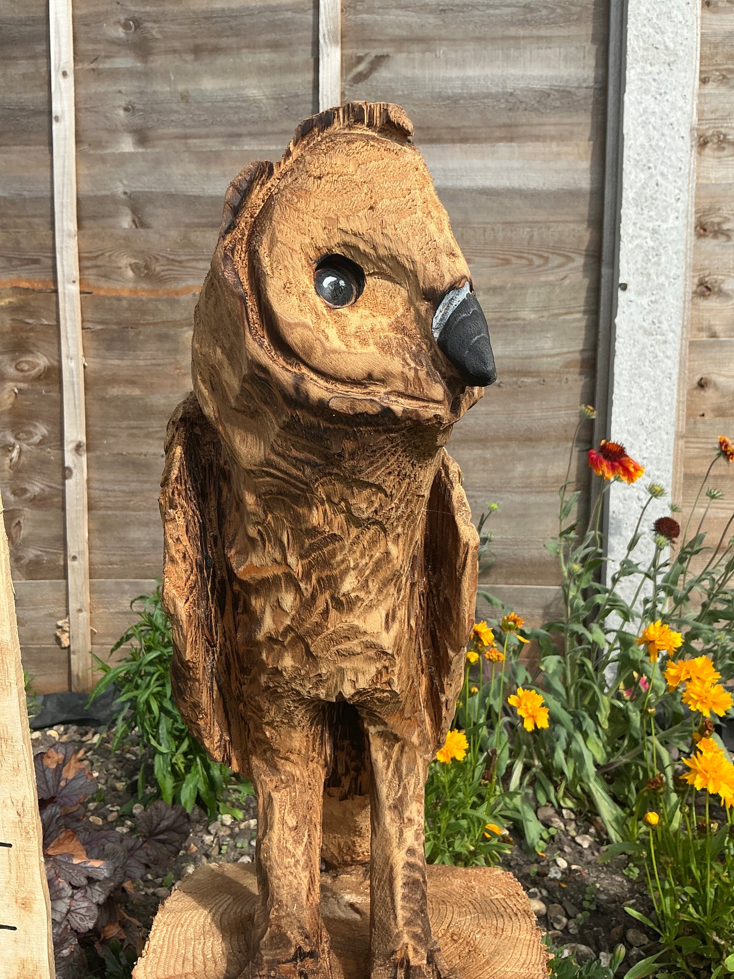 1 - Medium standing owl