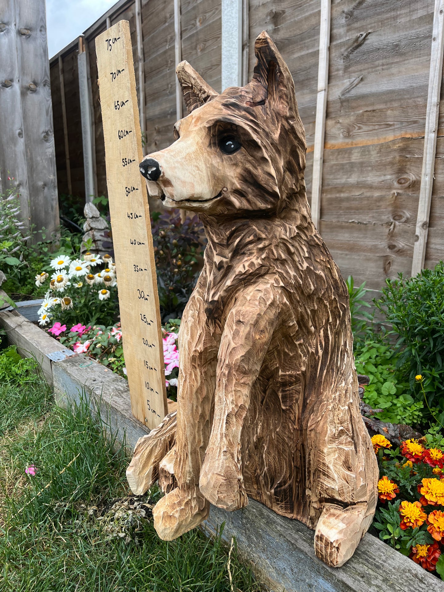 Standing fox