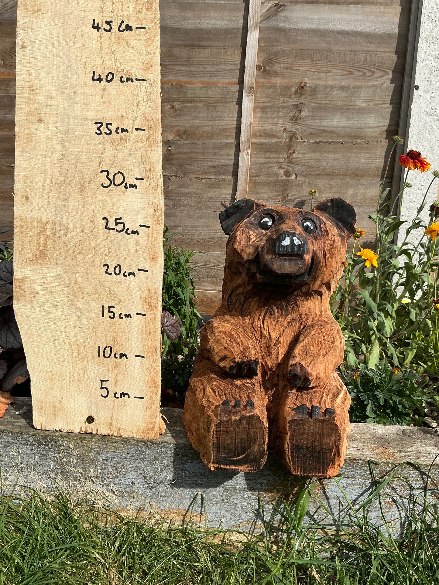 9 - Sitting bear