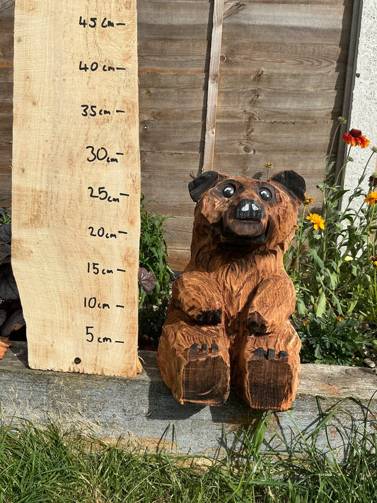 9 - Sitting bear