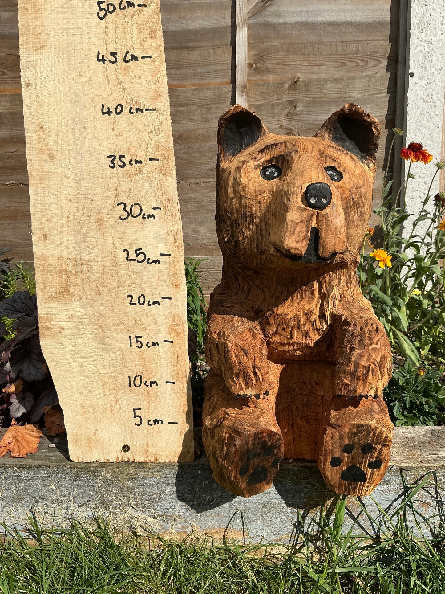 12 - Sitting bear