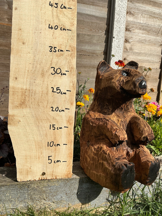 13 - Sitting bear