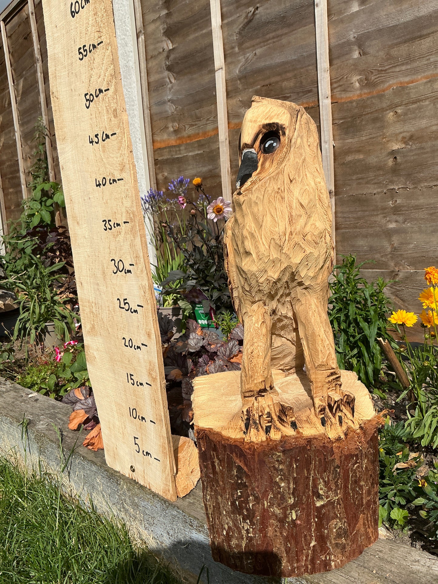 6 - Standing owl