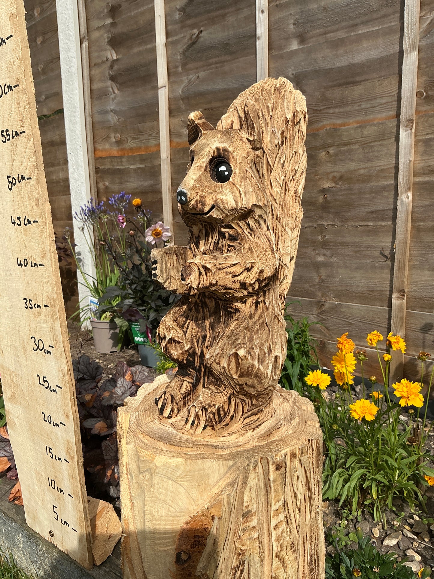 7 - Squirrel