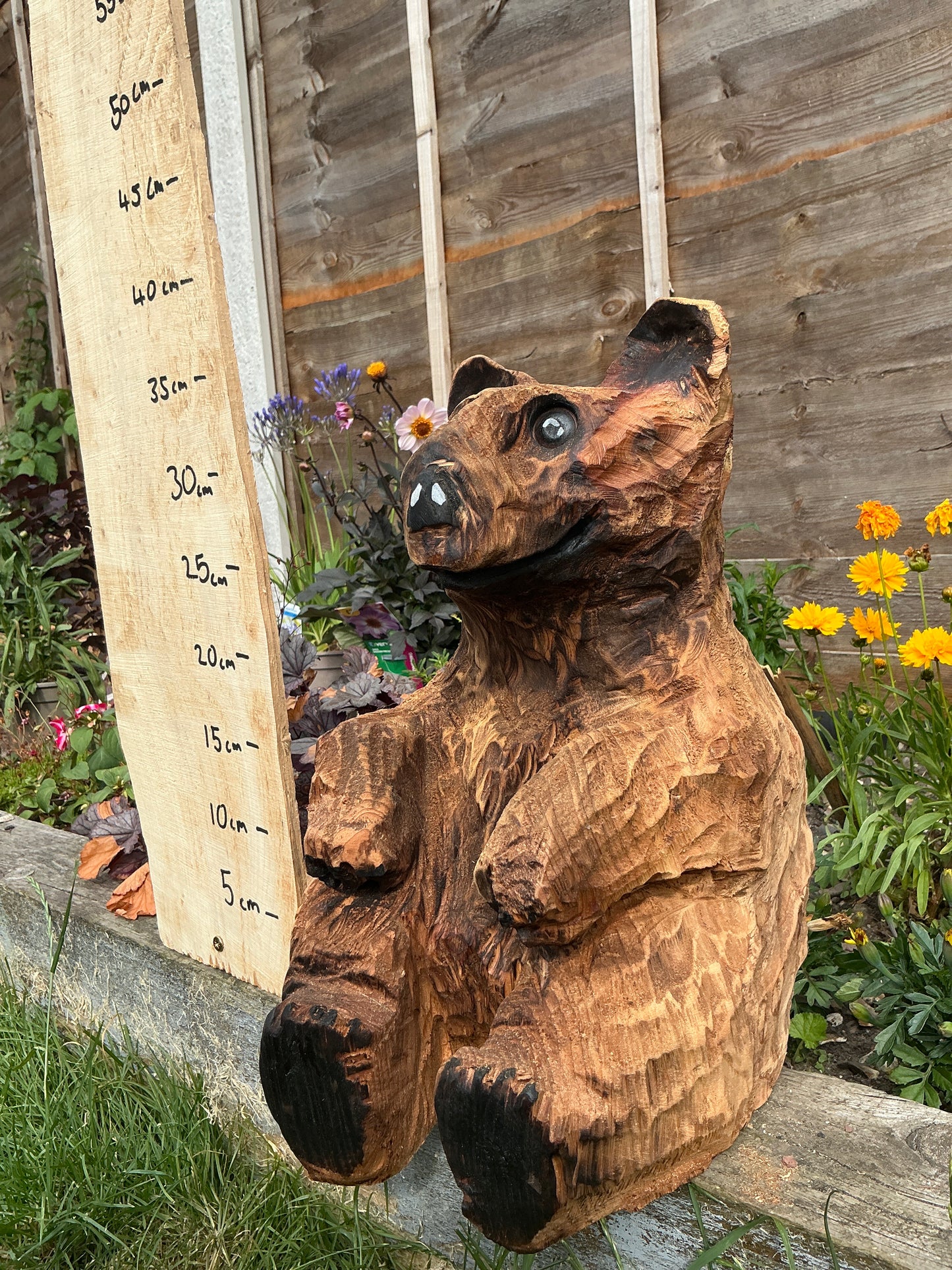 13 - Sitting bear