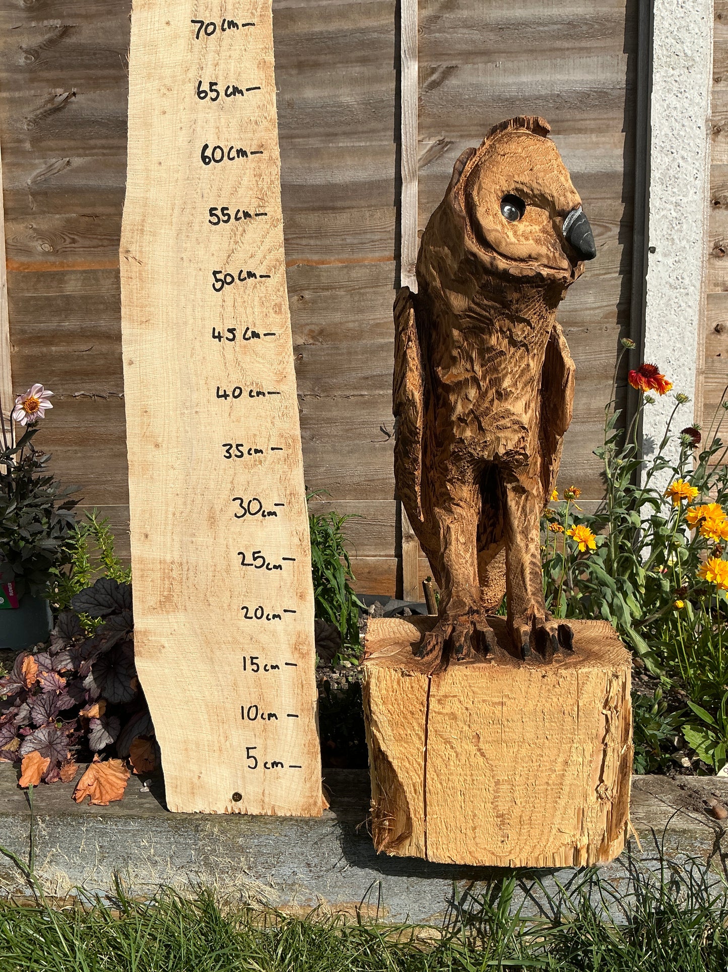 1 - Medium standing owl