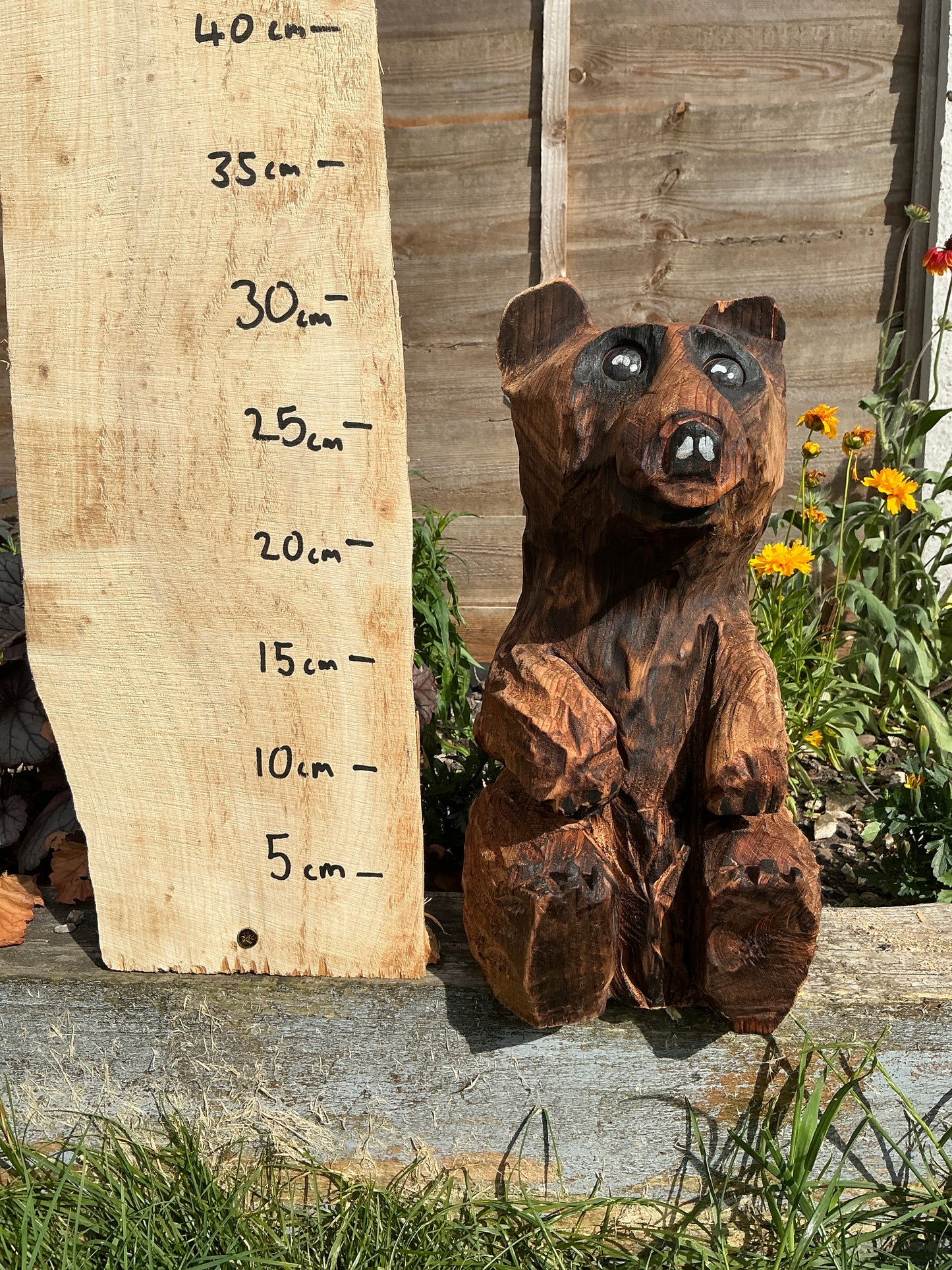 10 - Sitting bear