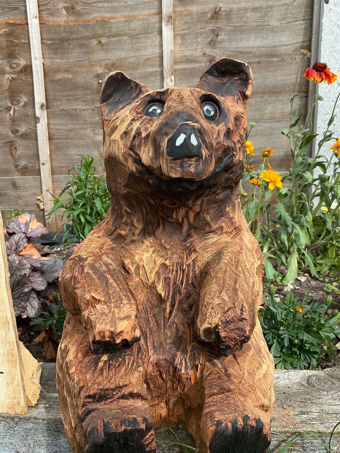13 - Sitting bear