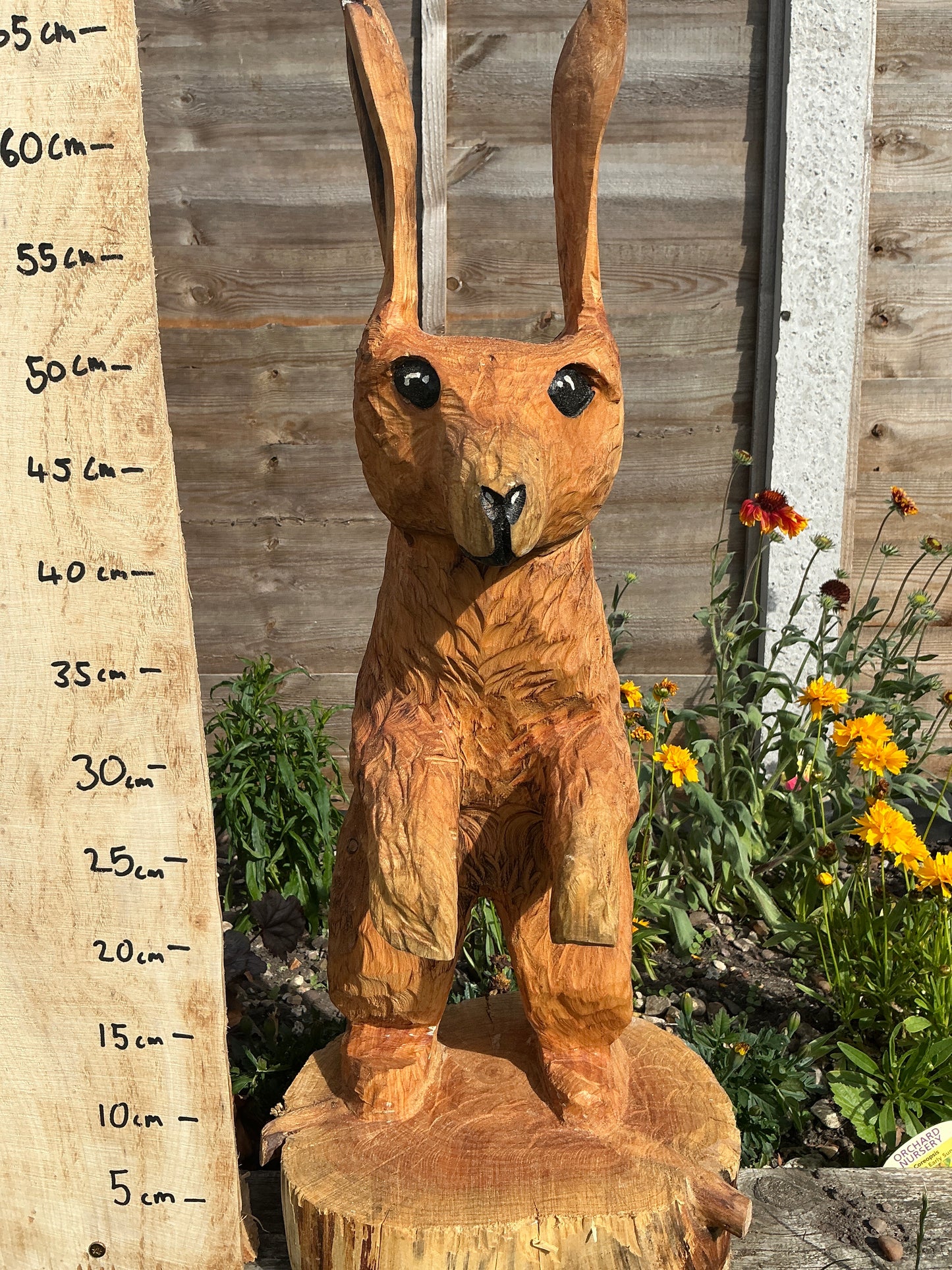 2 - Standing hare