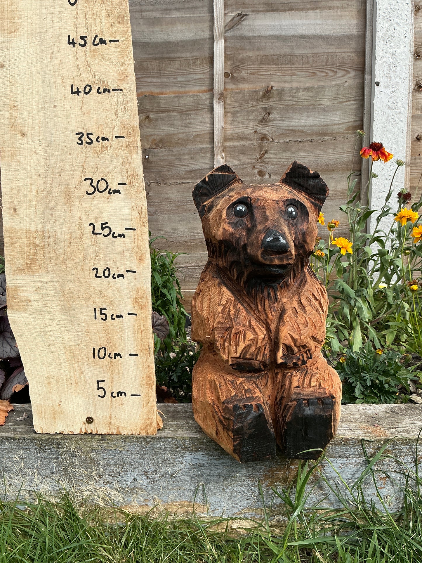 14 - Sitting bear