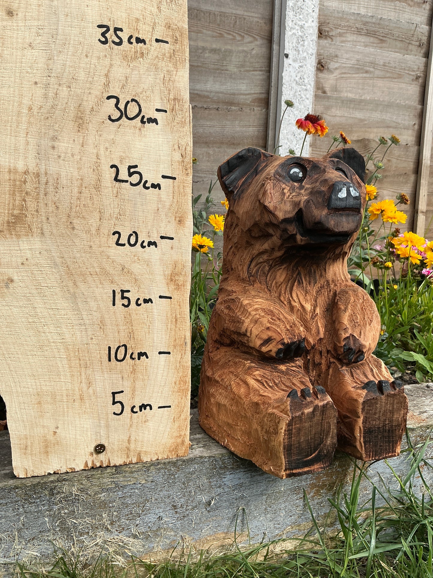 9 - Sitting bear