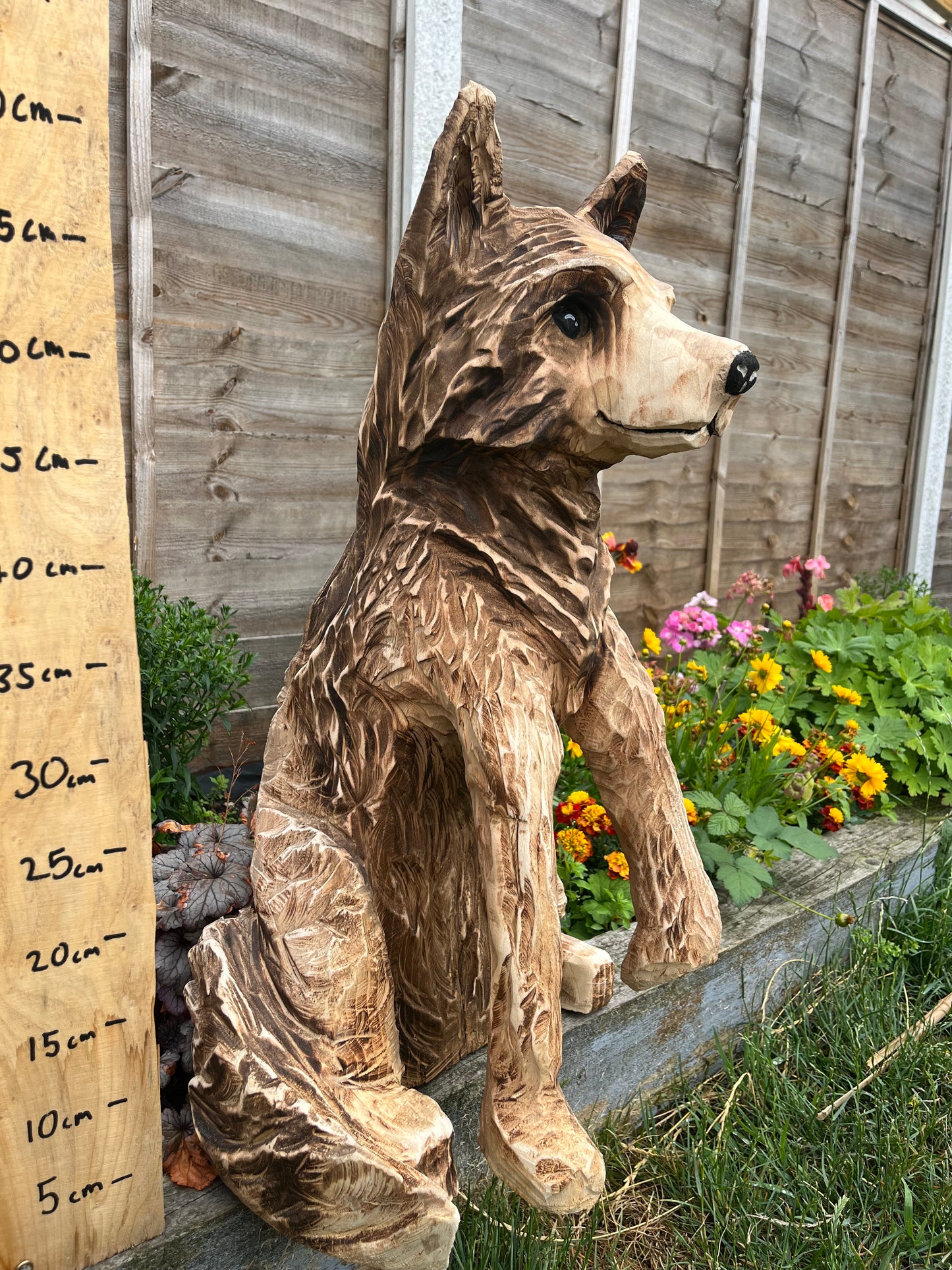 Standing fox