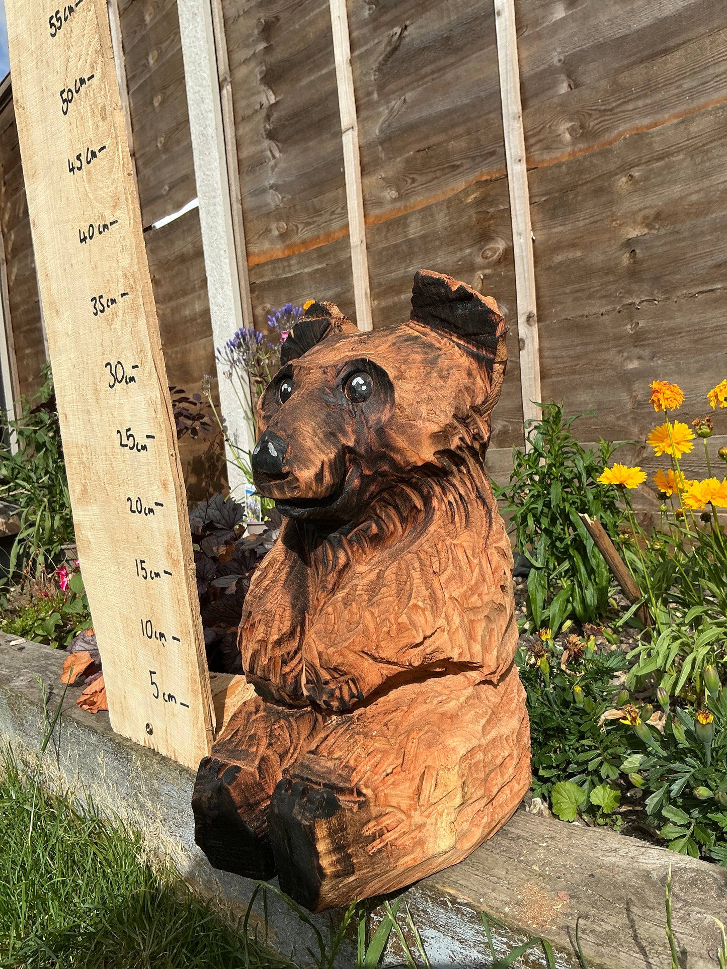 14 - Sitting bear
