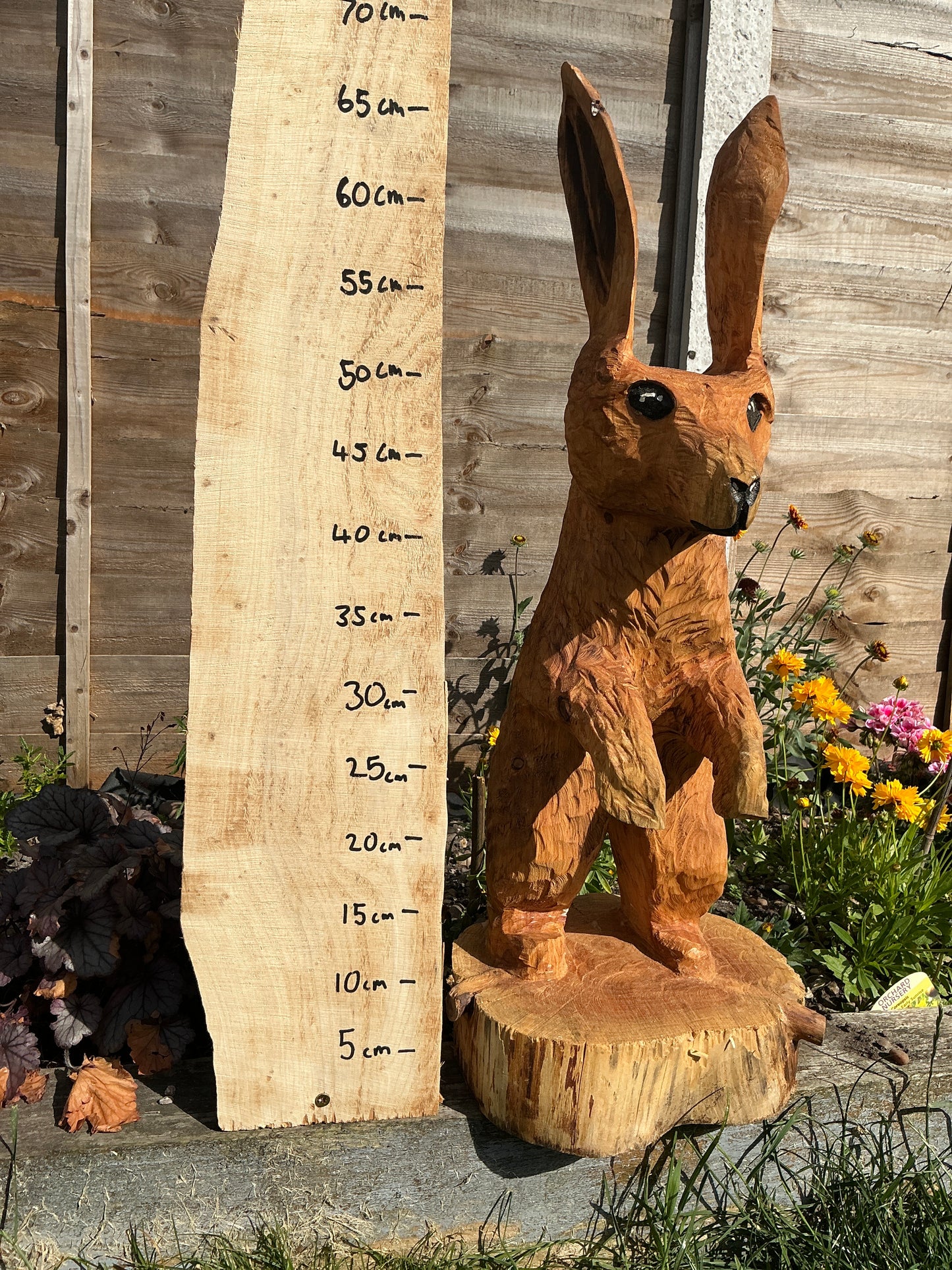 2 - Standing hare