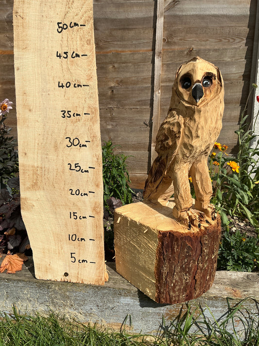6 - Standing owl