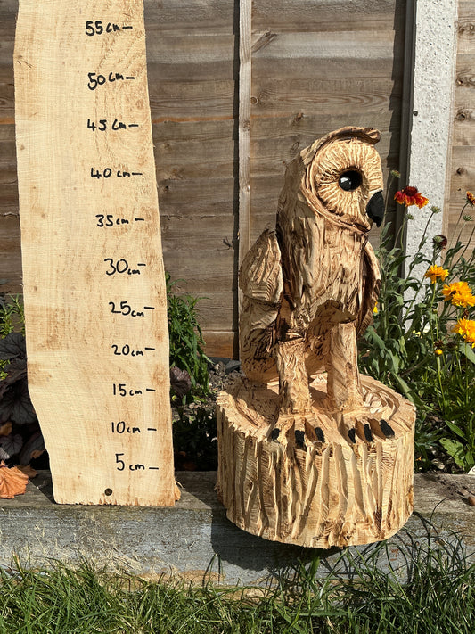 8 - Standing owl